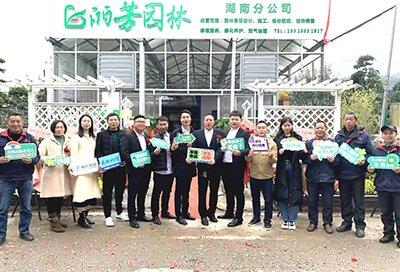 �격����-����Ʒ������