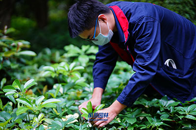 �격����-����Ʒ������