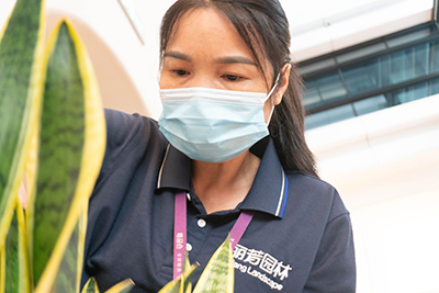 �격����-����Ʒ������