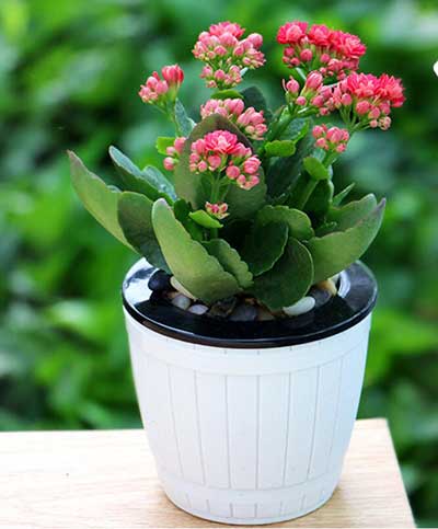 �격����-����Ʒ������