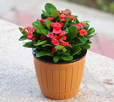 �격����-����Ʒ������