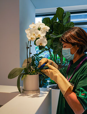 �격����-����Ʒ������