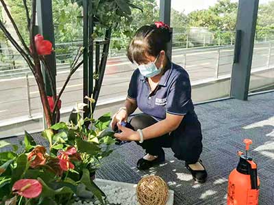 �격����-����Ʒ������