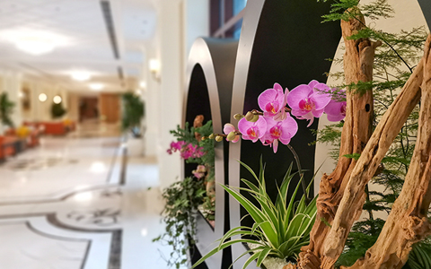 �격����-����Ʒ������