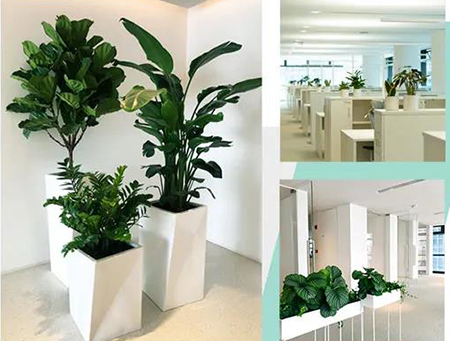 �격����-����Ʒ������