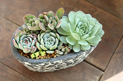 �격����-����Ʒ������