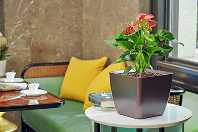 �격����-����Ʒ������