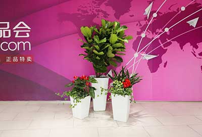 �격����-����Ʒ������