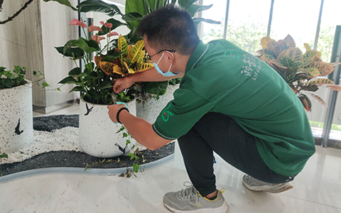 �격����-����Ʒ������