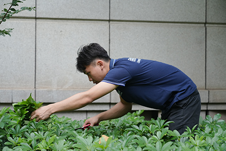 �격����-����Ʒ������