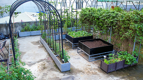 �격����-����Ʒ������