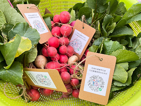 �격����-����Ʒ������