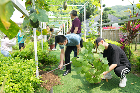 �격����-����Ʒ������