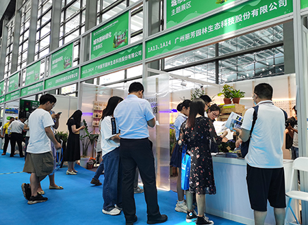 �격����-����Ʒ������