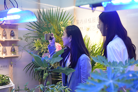 �격����-����Ʒ������