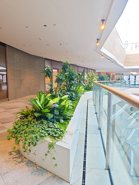 �격����-����Ʒ������