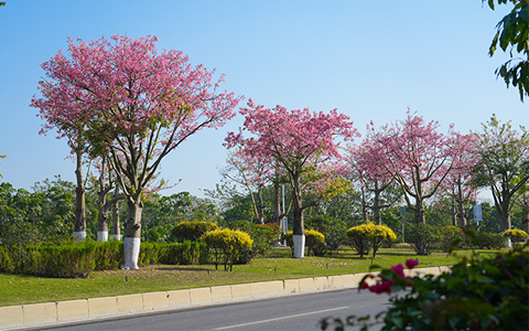 �격����-����Ʒ������