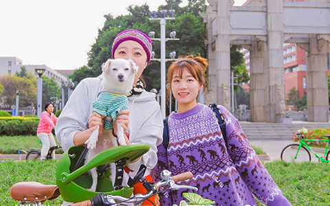 �격����-����Ʒ������