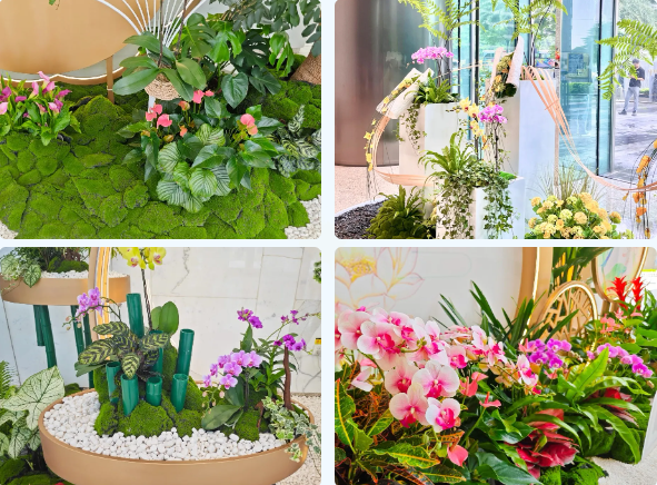 �격����-����Ʒ������