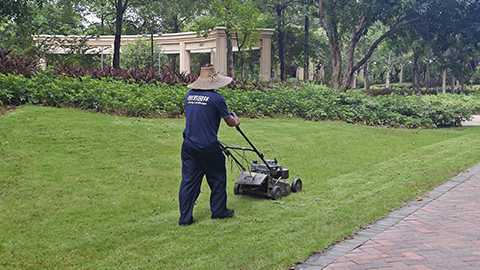 �격����-����Ʒ������