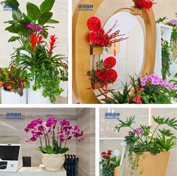 �격����-����Ʒ������