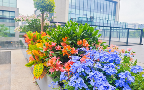 �격����-����Ʒ������