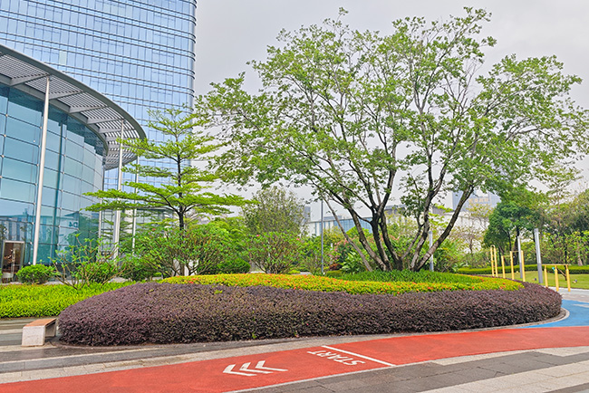 �격����-����Ʒ������