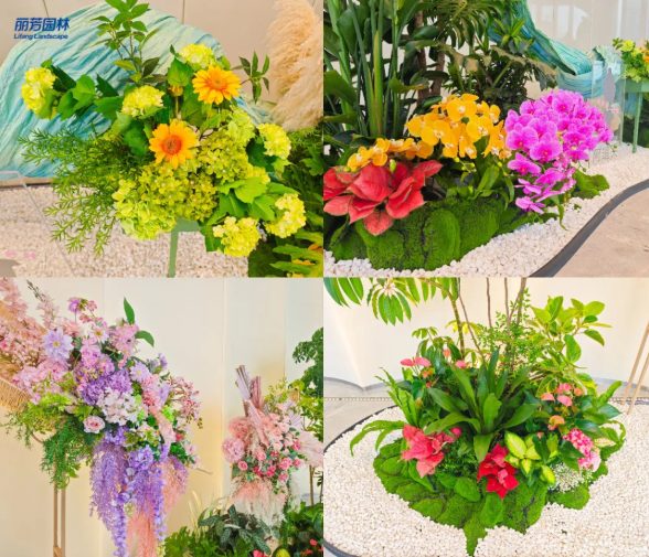 �격����-����Ʒ������