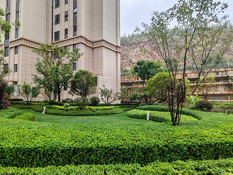 �격����-����Ʒ������