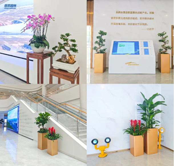 �격����-����Ʒ������