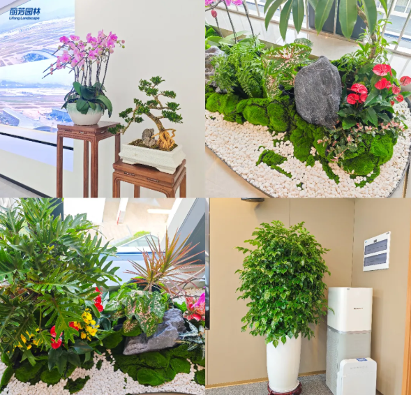 �격����-����Ʒ������