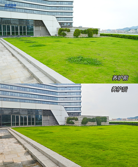 �격����-����Ʒ������