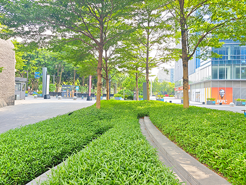 �격����-����Ʒ������