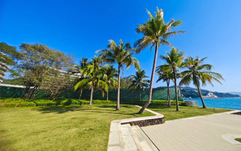 �격����-����Ʒ������