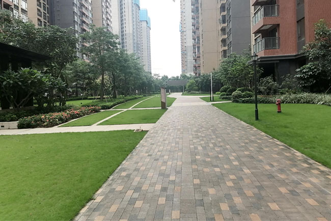 �격����԰��������Ŀ��Զ��ҵ����