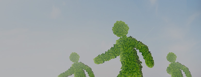 �����ֲ��