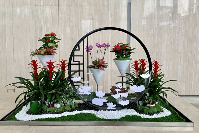 �����̵ع㳡