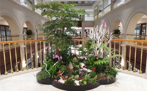 ���ޣ��격����԰���ٻ�Ϊ��ǰ���عɡ��ո�����ͨ...