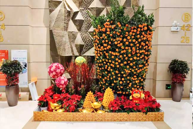 �����껨��۷���