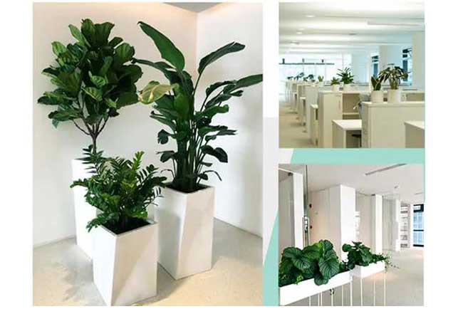 ΨƷ���ܲ���¥