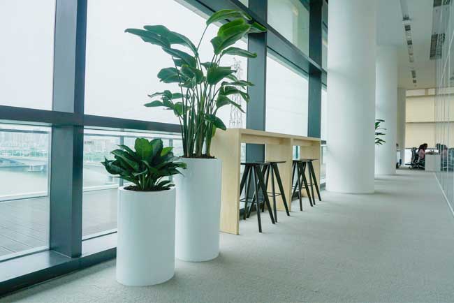 ΨƷ���ܲ���¥