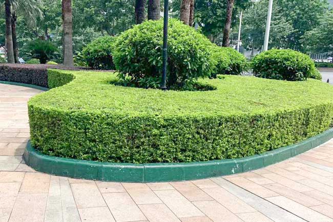 ������������