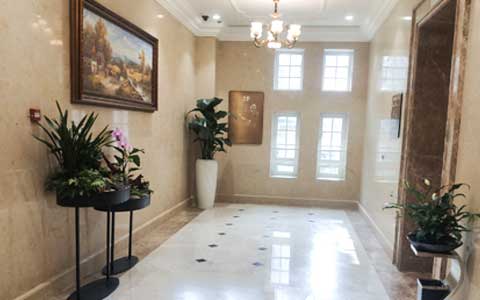 �ʺϹ�˾���������Ȱڷ�ֲ������Щ��?