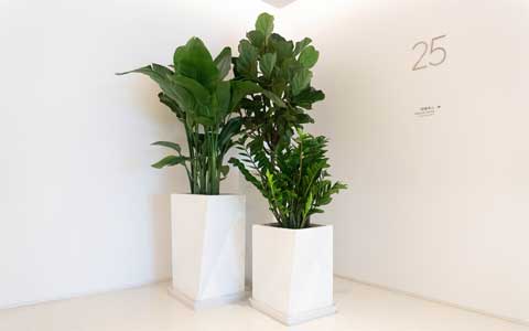 ������ֲ���������շѳ߶���