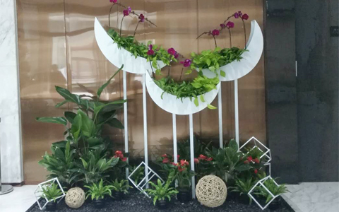 ���ݰڷŹ�˾���������� ��ֲ���޼�ֵ��