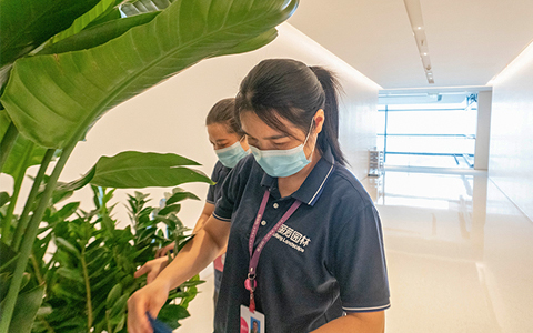 �칫�ҵ���ֲΪʲô������������?