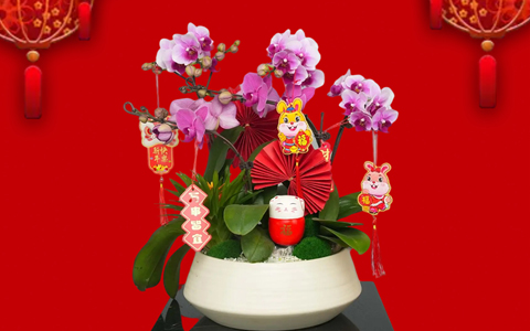 �껨��俪 | �격����԰���´���ۺ��껨����ԤԼ