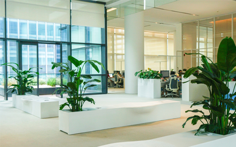 �격����԰�ְ칫����ֲ�ڷŽ��󡢷�ˮ,���б�Ҫ֪·!