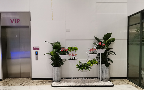 �̳���ֲ��ڹ滮��