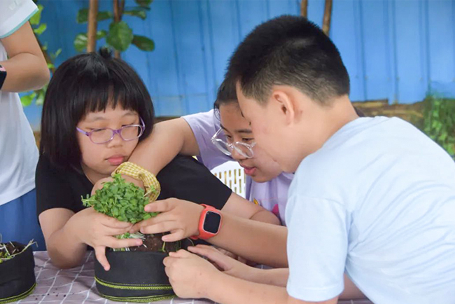 �격������������Ӫ